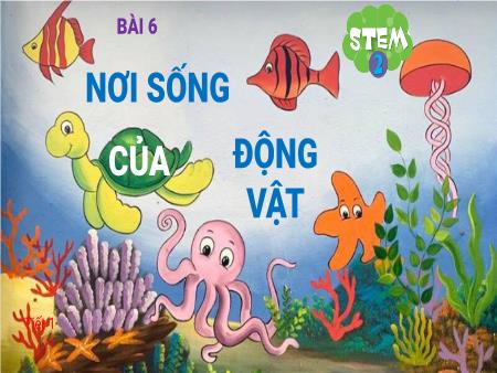 Bài giảng BH STEM 2 - Bài 6: Nơi sống của động vật
