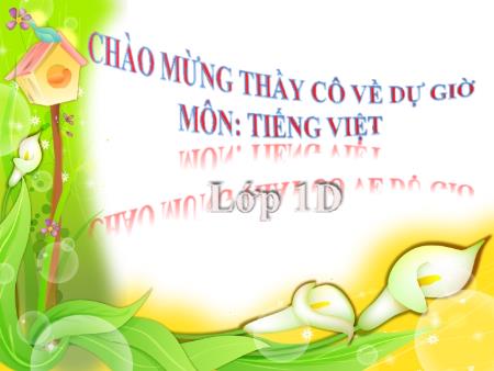 Bài giảng Tiếng Việt Lớp 1 - Bài 13D: Ong, ông