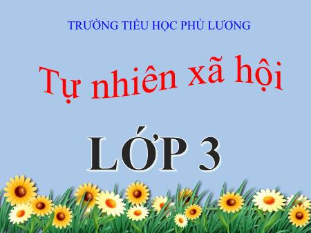 Bài giảng Tự nhiên và xã hội Lớp 3 - Bài 5: Cơ quan bài tiết nước tiểu (Tiết 3) - Năm học 2016-2017 - Trường Tiểu học Phù Lương