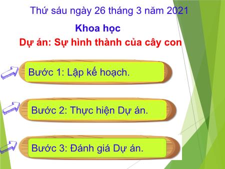 Bài giảng Khoa Học 5 - Dự án: Sự hình thành của cây con