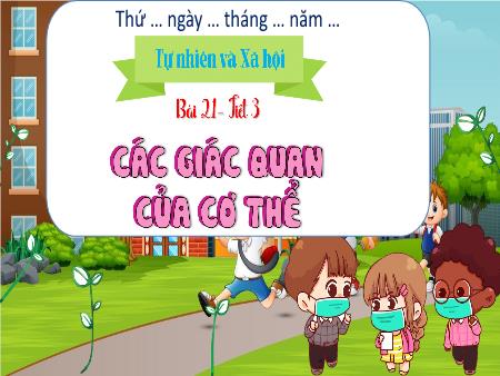 Bài giảng TNXH 1 - Bài 21, Tiết 3: Các giác quan của cơ thể