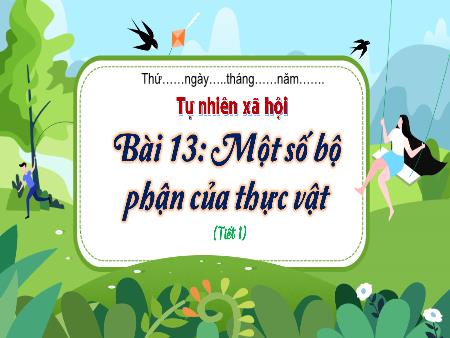 Bài giảng TNXH 3 (Kết nối tri thức) - Bài 13: Một số bộ phận của thực vật (Tiết 1)