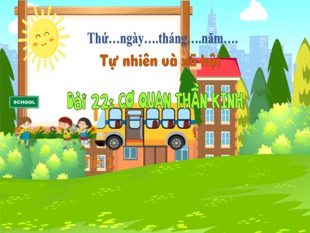 Bài giảng TNXH 3 (Kết nối tri thức) - Bài 22: Cơ quan thần kinh (Tiết 1)