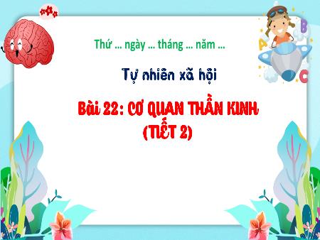 Bài giảng TNXH 3 (Kết nối tri thức) - Bài 22: Cơ quan thần kinh (Tiết 2)